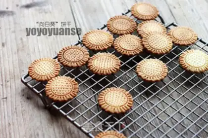 Make Nut crab shells yellow step 11