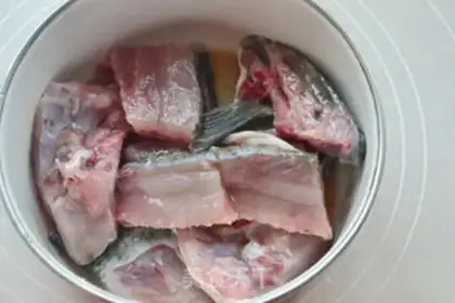 Make A live fish step 2