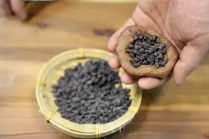 Make Black-eyed beans step 6