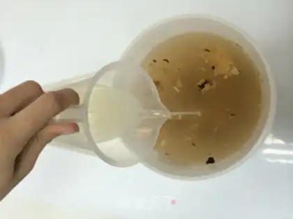 Make Rohan fruit fermentation step 7