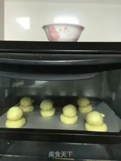 Make Chicken step 8
