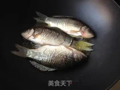 Make Squidfish step 3