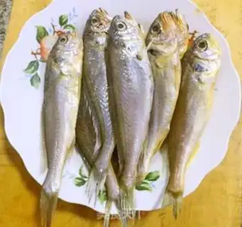 Make The family yellowfish step 1