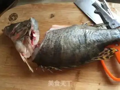 Make Squirrel step 1