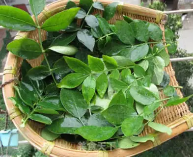 Make Pleasant leaves step 1