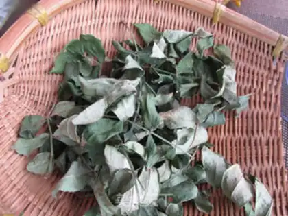 Make Pleasant leaves step 2