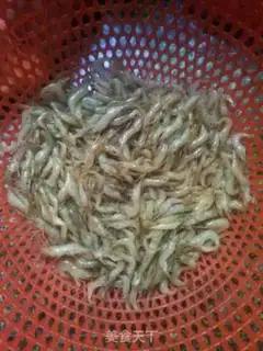 Make Simple shrimp step 0