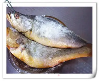 Make The yellowfish step 1