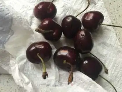 Make Car pickle cream pie step 13