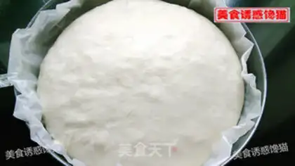 Make Gold lasagna step 12
