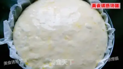 Make Gold lasagna step 14