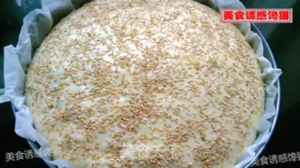 Make Gold lasagna step 15