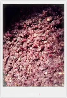 Make Red bean bread step 0