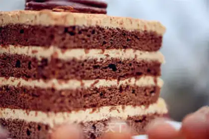 Make Skinny chocolate cake step 26