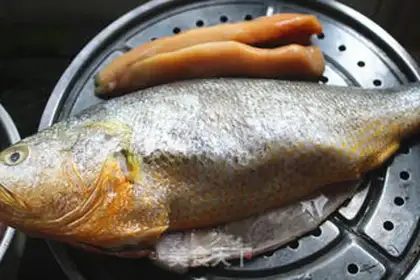 Make The big yellow fish step 1