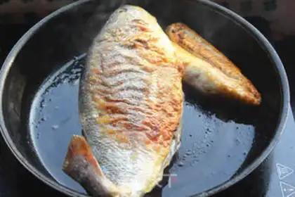 Make The big yellow fish step 4