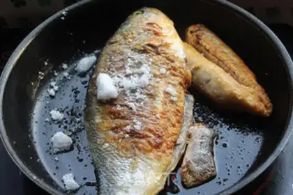 Make The big yellow fish step 5