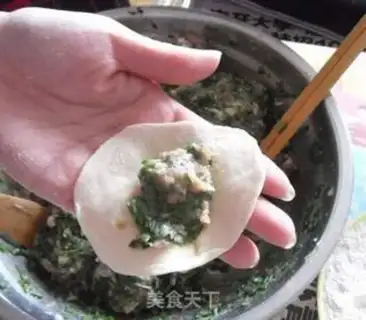Make Pork dumplings step 9