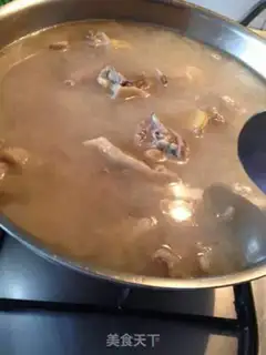 Make The yogurt plant step 5
