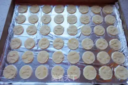 Make Apricot step 6