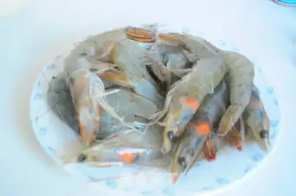 Make Shrimp fever step 4