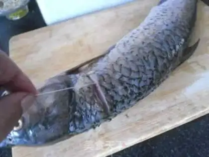 Make Old sour fish step 1