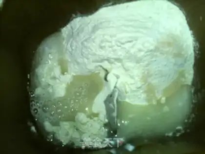 Make Pelican onions step 1