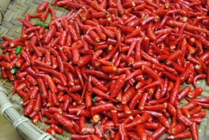 Make Wine and pepper sauce step 2