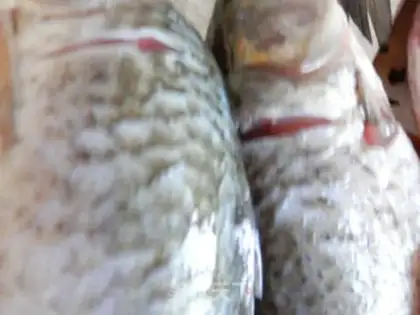 Make Soupfish step 3