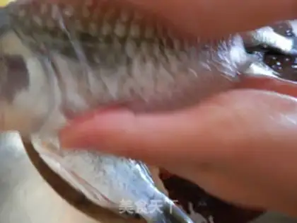 Make Soupfish step 5