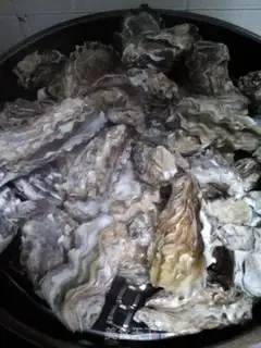 Make Steamed sea turtles step 3