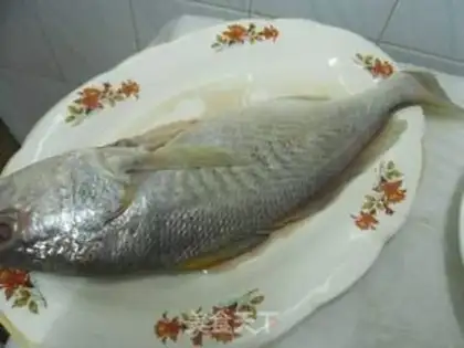 Make Squirt fish step 0