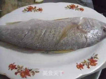 Make Squirt fish step 1