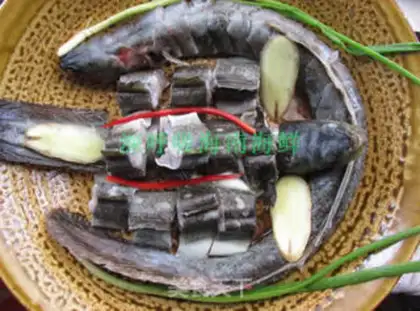 Make Vacuated wild sea eels step 1