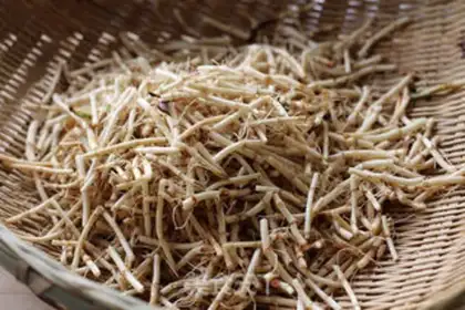 Make Frozen ear root step 1