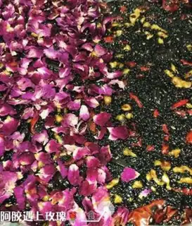 Make Rose Rose Ogre step 3