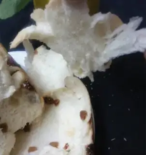 Make raisin coconuts, thousands of layers of toast step 19