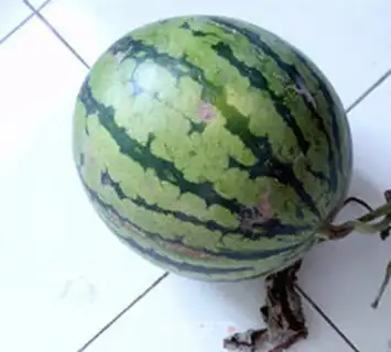 Make Watermelon leather dumplings step 0