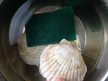 Make Steam scallops step 1