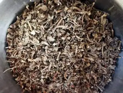 Make Horse-toothed wild and green step 2
