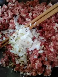 Make Pork carrot dumplings step 0