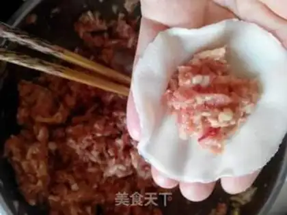 Make Pork carrot dumplings step 7