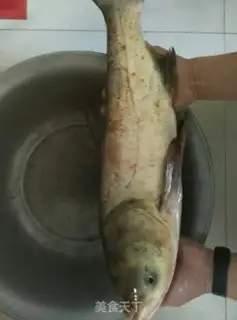 Make Piper chopping, fat fish head step 0