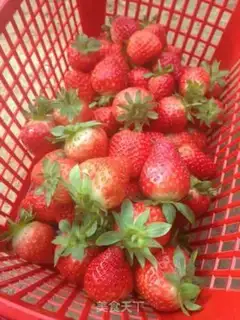 Make Strawberry salad step 0