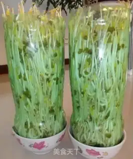 Make Homemade green bean buds step 6