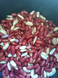 Make Secret bean step 1