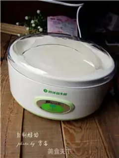 Make Homemade yogurt step 6