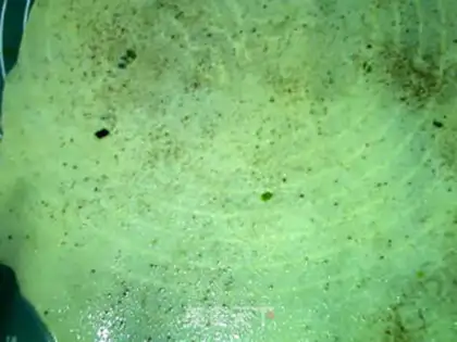 Make Precious onions step 9