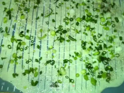 Make Precious onions step 11