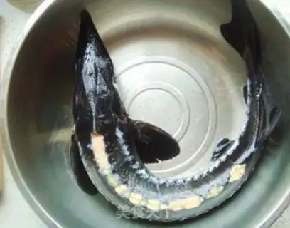 Make Fresh sturgeon step 0